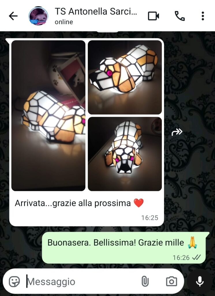 WhatsApp Image 2025 10 16 at 16.36.41